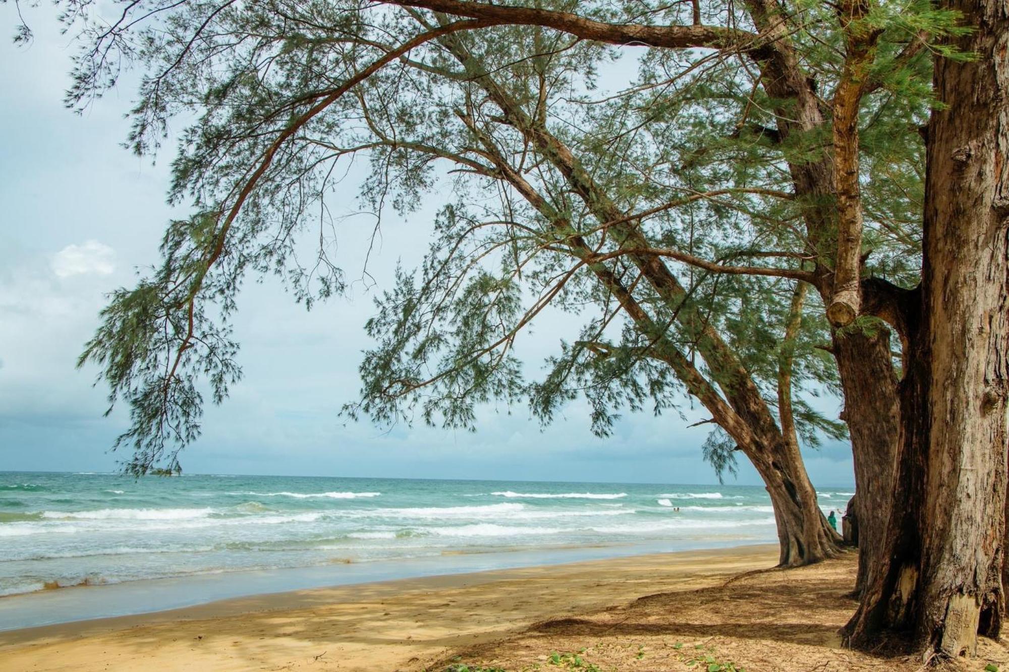 Bien Nho Homestay & Spa Phú Quốc Ngoại thất bức ảnh
